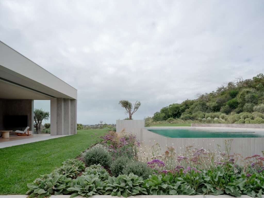 Elevated outdoor swimming pool surrounded by native flowering plants and lush coastal hills behind Wildcoast House.