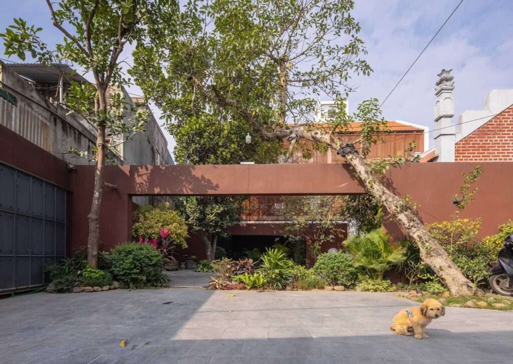 The transitional entrance courtyard of NB01 House with concrete pavers, green plants, a mature tree, and a concrete structural beam.