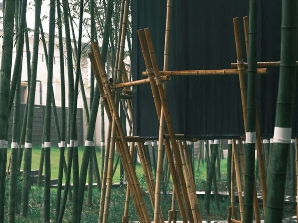 A structural side view of the temporary Veil Tower pavilion showcasing raw bamboo columns tied together, flanked by a dark fabric curtain within a dense Moso bamboo forest.