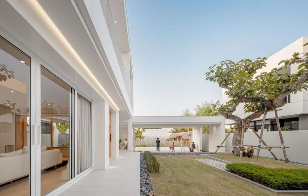 View from the courtyard garden looking towards the open carport structure of JNG House, featuring a mature tree on the right and large glass windows on the left.