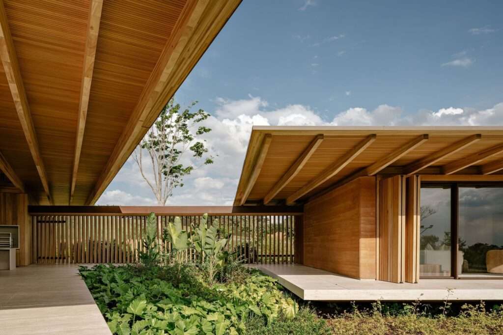 Low-angle exterior shot of AMS House showcasing the separation between two distinct timber and rammed earth volumes connected by an open courtyard with lush green foliage.