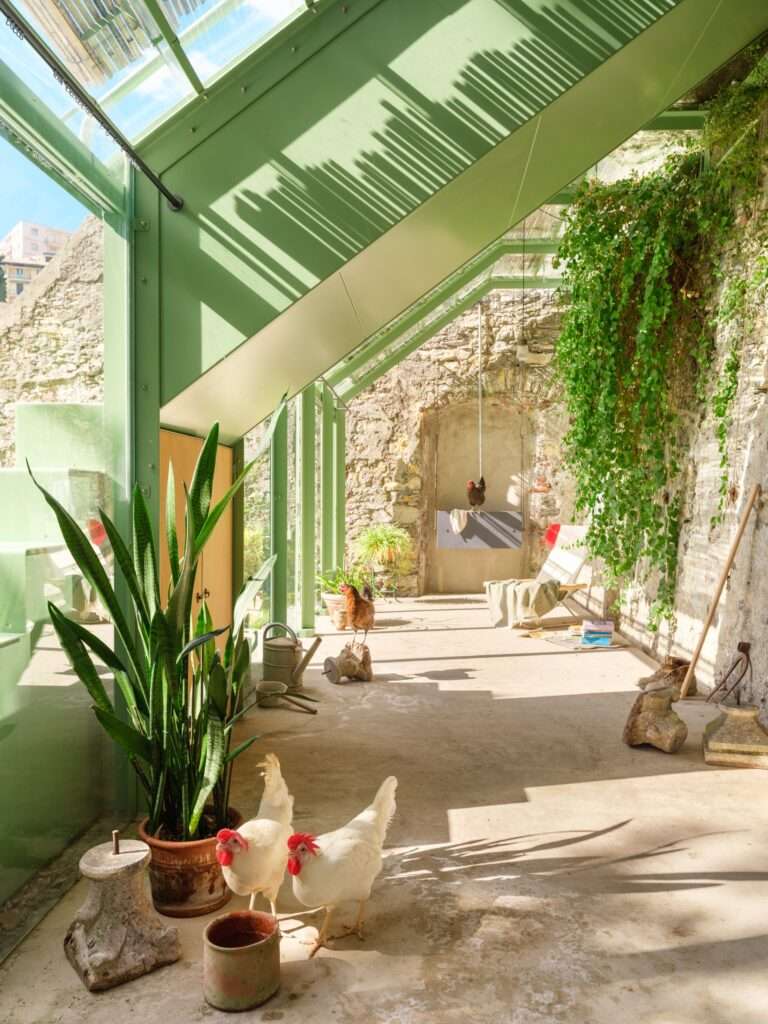 An interior view looking down the length of the greenhouse during daytime, revealing a bright, transparent environment framed in light green metal and glass. Natural light illuminates the space. The historical stone wall forms the back boundary, accented by climbing vines. Potted plants line the space, and domestic chickens are visible exploring the concrete floor near the foreground.