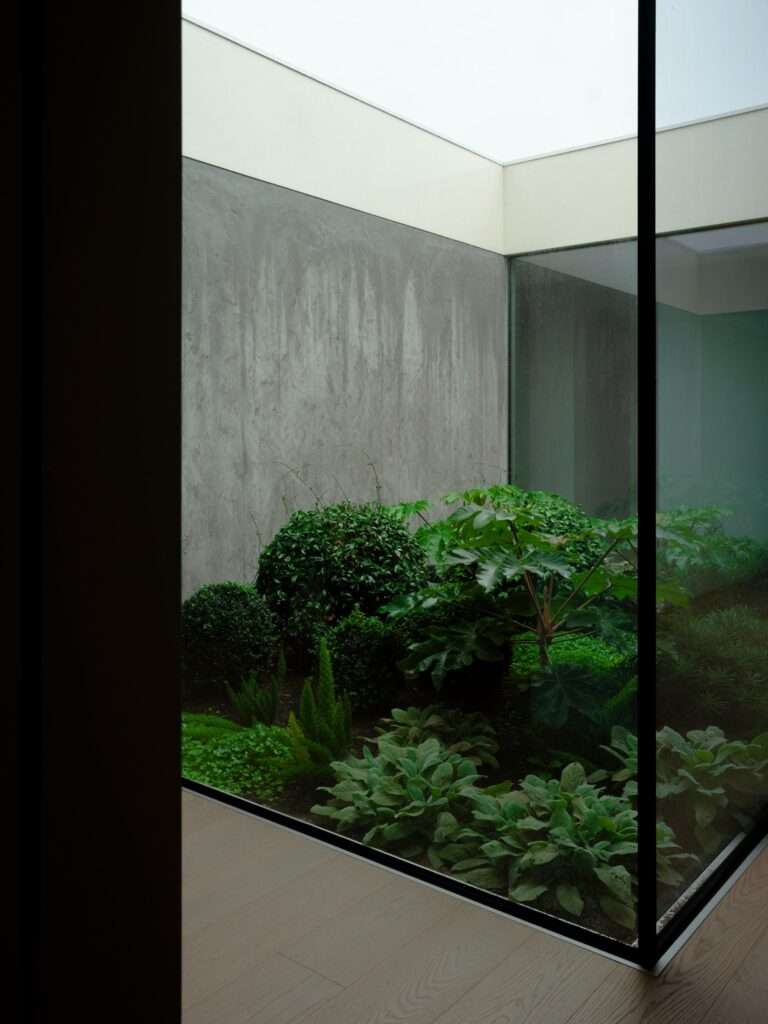 Sunlit central atrium garden surrounded by glass and raw concrete walls filled with lush tropical and native green plants.