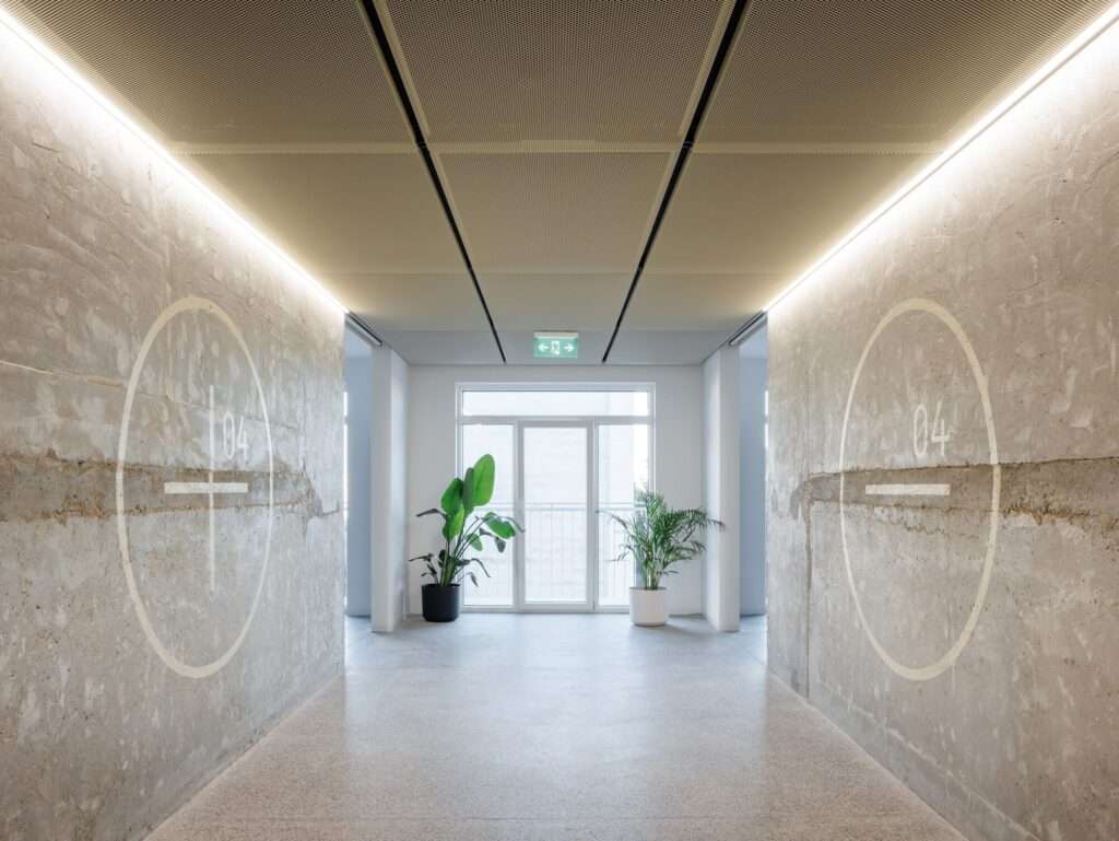 Minimalist elevator lobby on level 4 with exposed concrete walls, circular white graphic signs, potted plants, and mesh ceiling.
