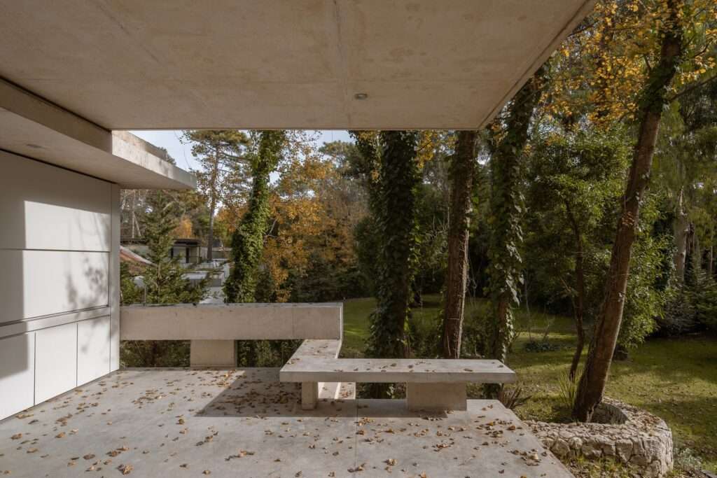 Upper level concrete terrace with built-in concrete benches covered in fallen autumn leaves, looking out over a green pine forest.