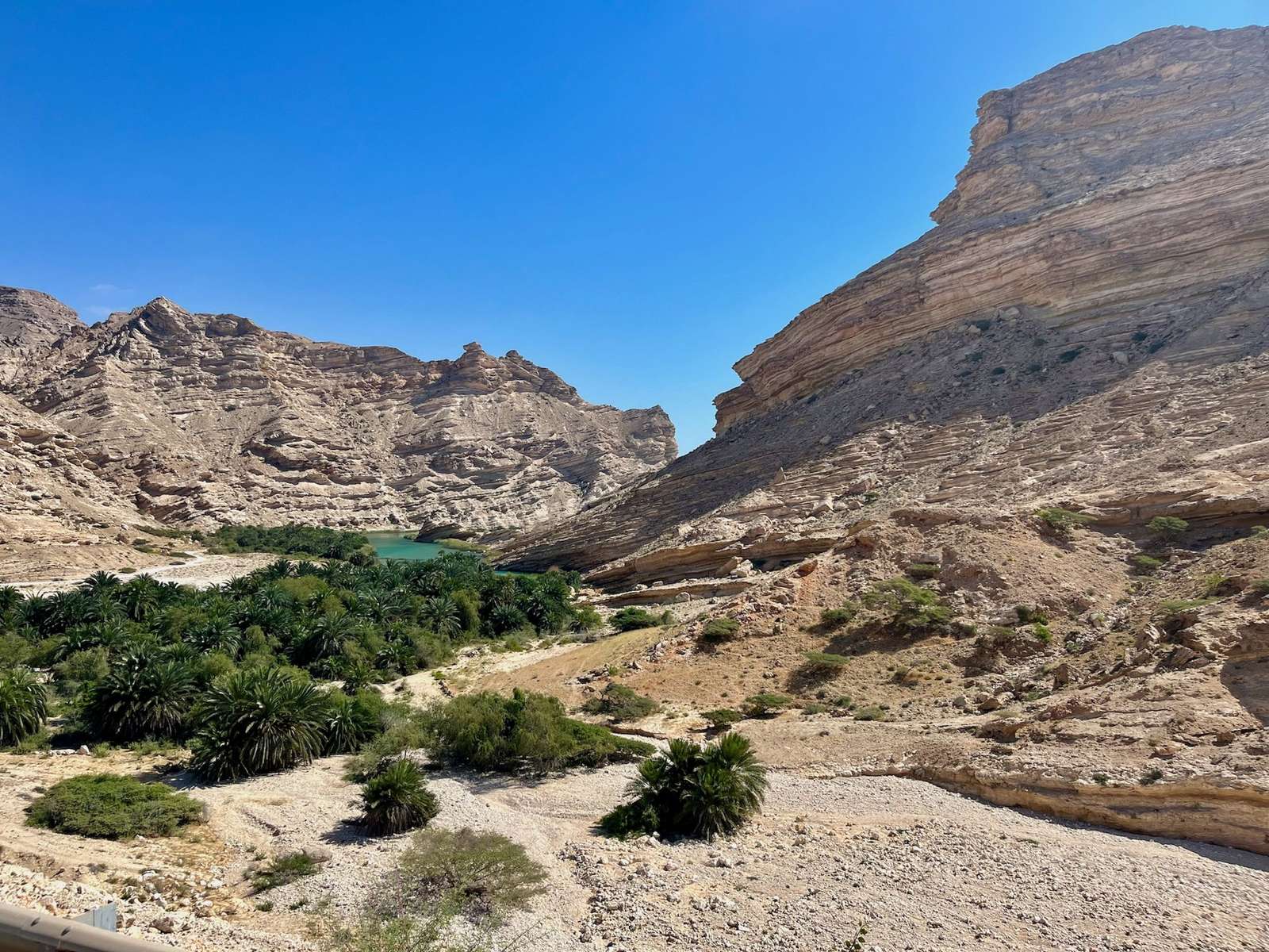 Explore the stunning Dhofar canyon oasis with lush greenery and towering rock formations.