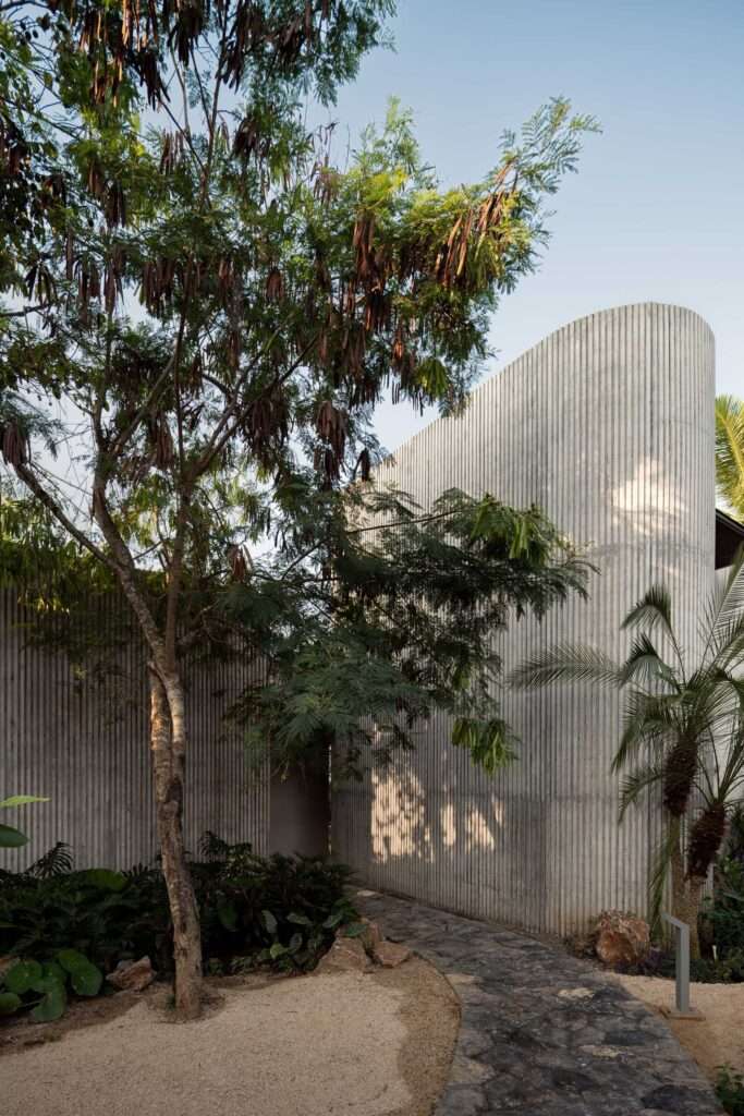 Curved ribbed concrete wall of the Pura Vida house with shadows cast by nearby trees, alongside a stone walkway.