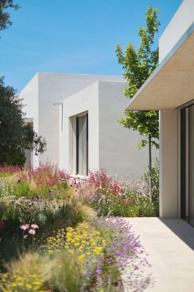 Perspective view along a stone path bordering Naseem House, lined with colorful wild garden flora including purple verbena and pink echinacea, against white stucco exterior walls with dark-framed windows and an overhanging concrete roof canopy.