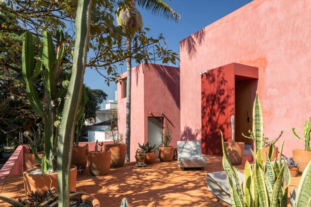 Sunlit rooftop terrace with terracotta floor tiles, potted cacti, succulents, and pink building volume entrances under a clear sky.