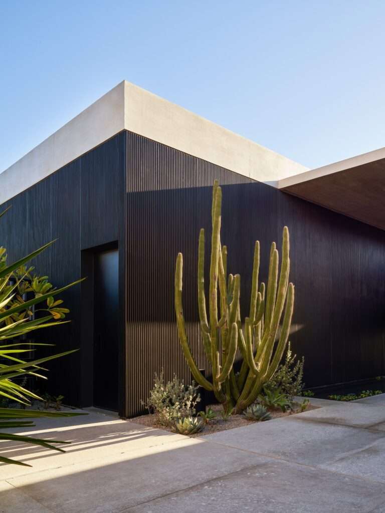 Exterior corner of Casa Loto displaying dark vertically grooved concrete wall, light roof overhang, and native desert landscaping.