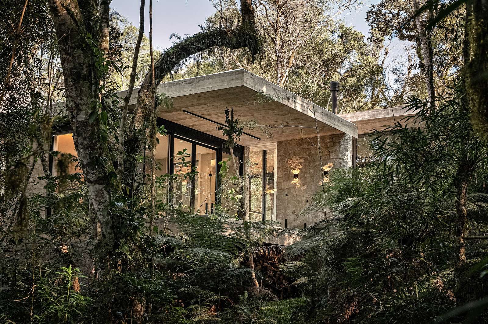 Exterior view of Casa de Vidro featuring a thin cantilevered concrete roof and rustic stone wall surrounded by dense forest vegetation.