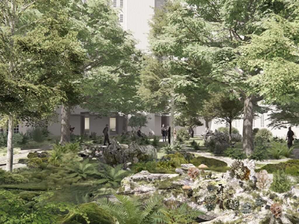 Dense green urban forest ground level featuring ferns, mossy rocks, native flora, and people walking along shaded pathways.