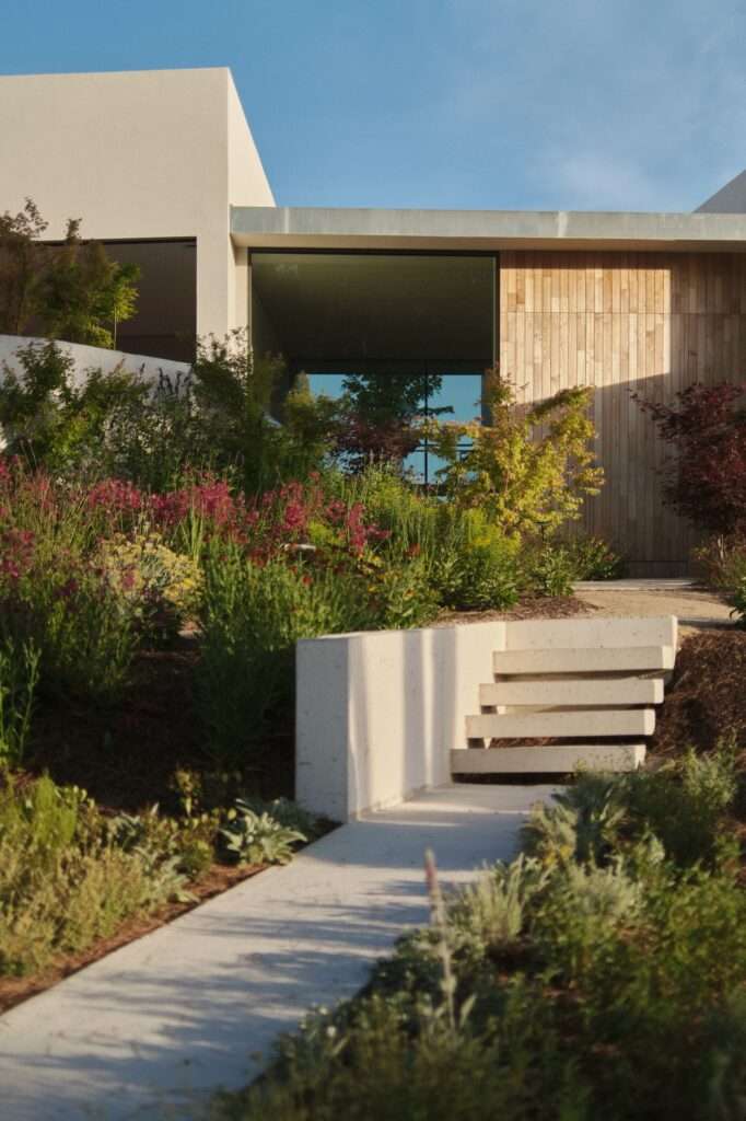 Exterior view of floating concrete entrance stairs ascending a lush garden slope toward the warm wood-paneled and glass facade of Naseem House during golden hour.
