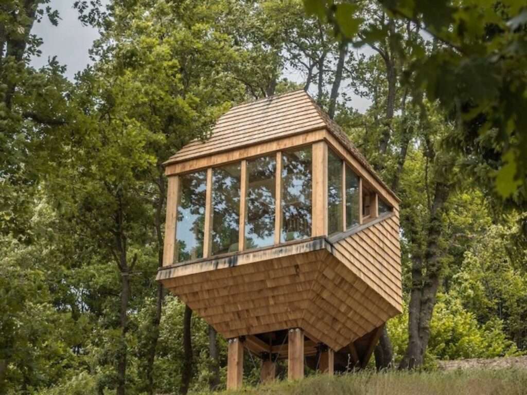 Elevated wooden cabin TreeBOX by Officina82 surrounded by dense oak forest canopy in Garessio.