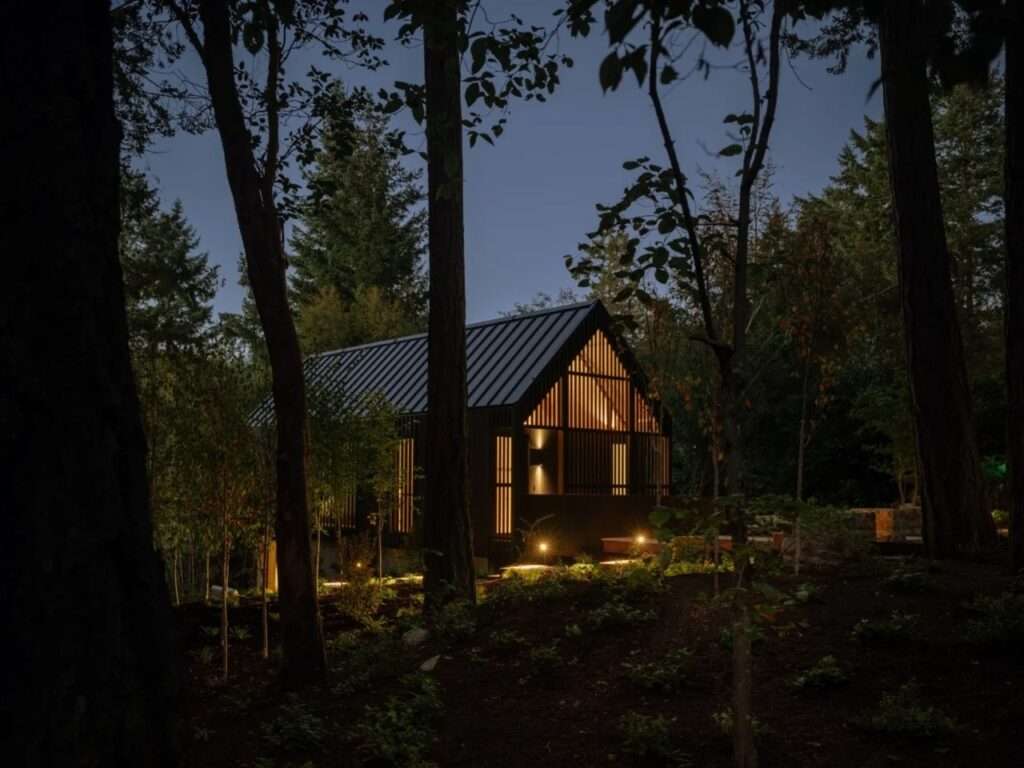 Forest Studio viewed through surrounding trees at night, glowing with warm interior lighting under a dark metal gabled roof.