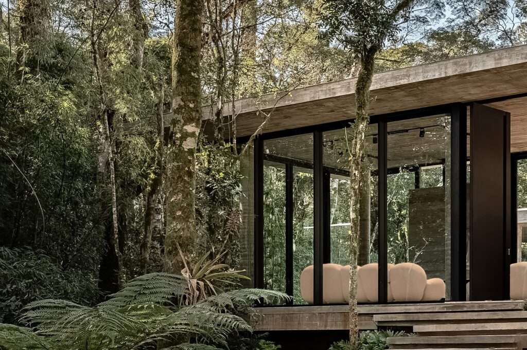 Close-up exterior view of a glass pavilion with modern curved beige furniture, framed by lush green trees and wild ferns.