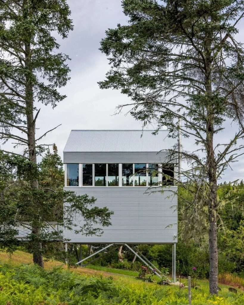Rear elevation of the elevated Skybox house framed by tall evergreen trees, showing panoramic upper-level ribbon windows and steel V-bracing below.