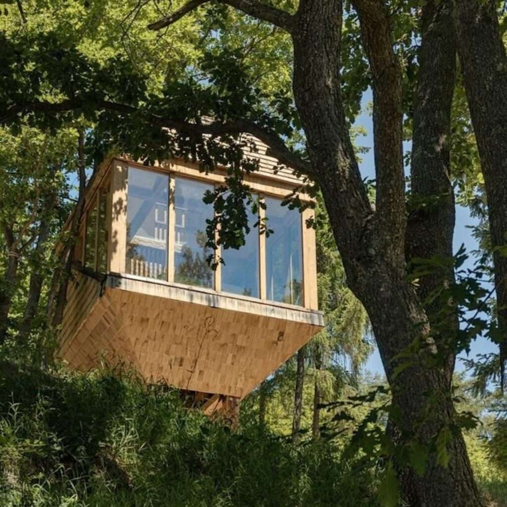 Low angle view of TreeBOX elevated timber structure amidst lush green oak trees.
