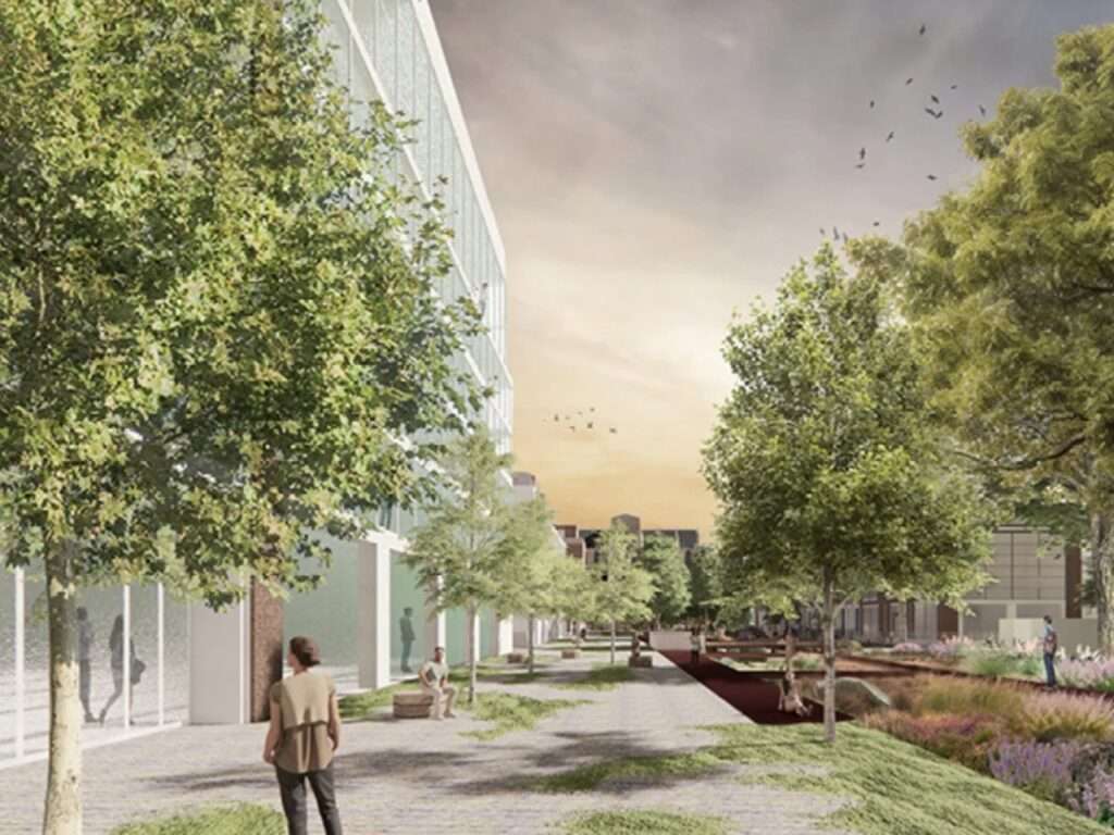 Modern streetscape featuring contemporary library building facade, wide pedestrian walkway, mature trees, and a roadside bioswale.