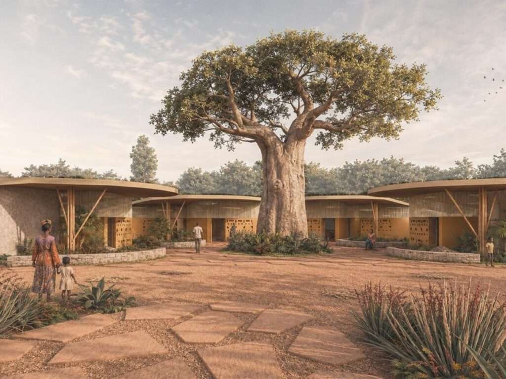 Ground-level view of an open courtyard centered around a large Baobab tree framed by low-rise earthen structures and stone pathways.