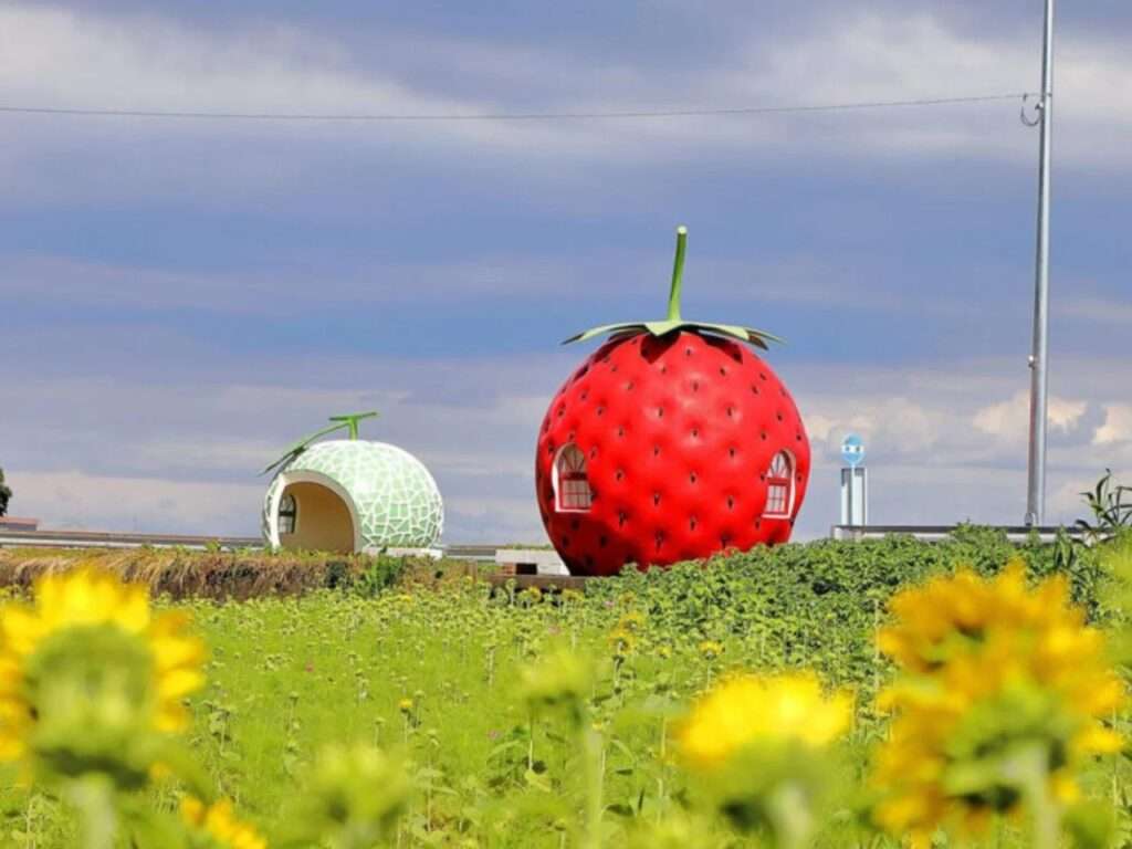 Strawberry and melon-shaped bus stop shelters standing side by side near a flower field under a cloudy sky.