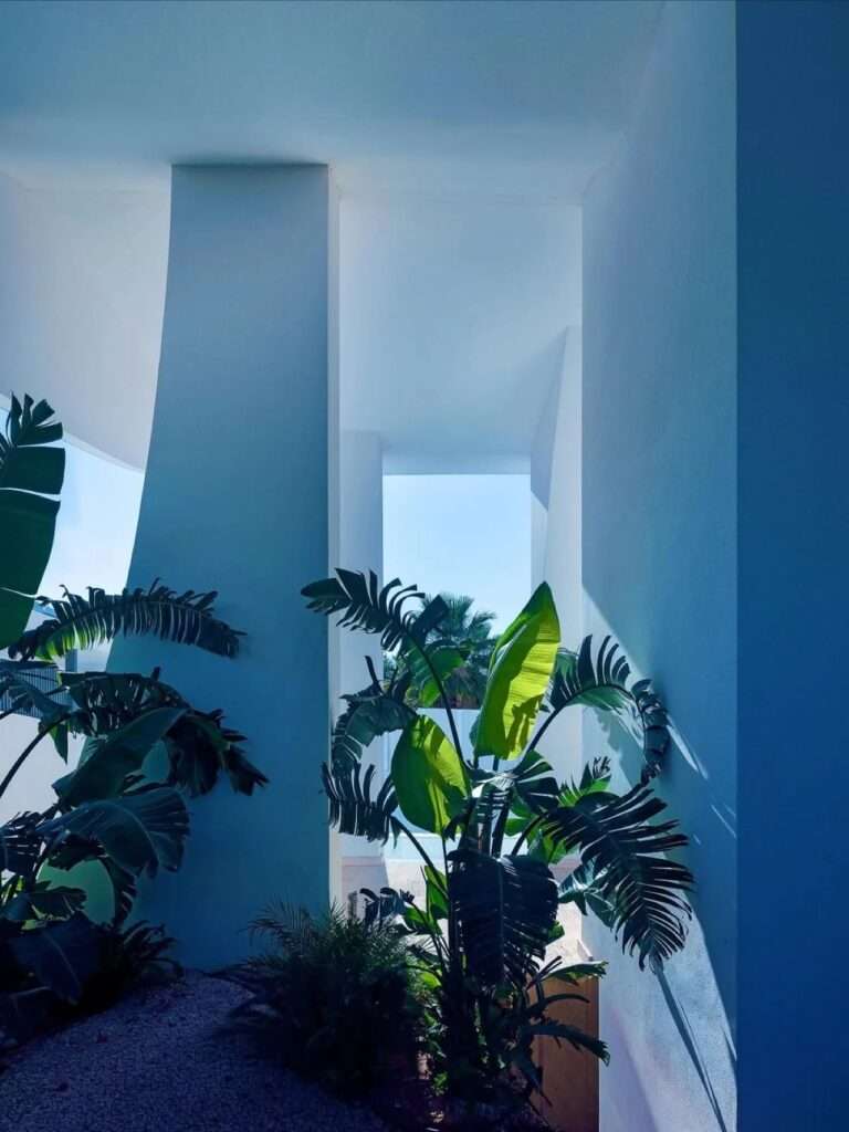 Semi-outdoor ground-level entrance patio at Rive en Hospense with tropical plants, white architectural pillars, and natural light.