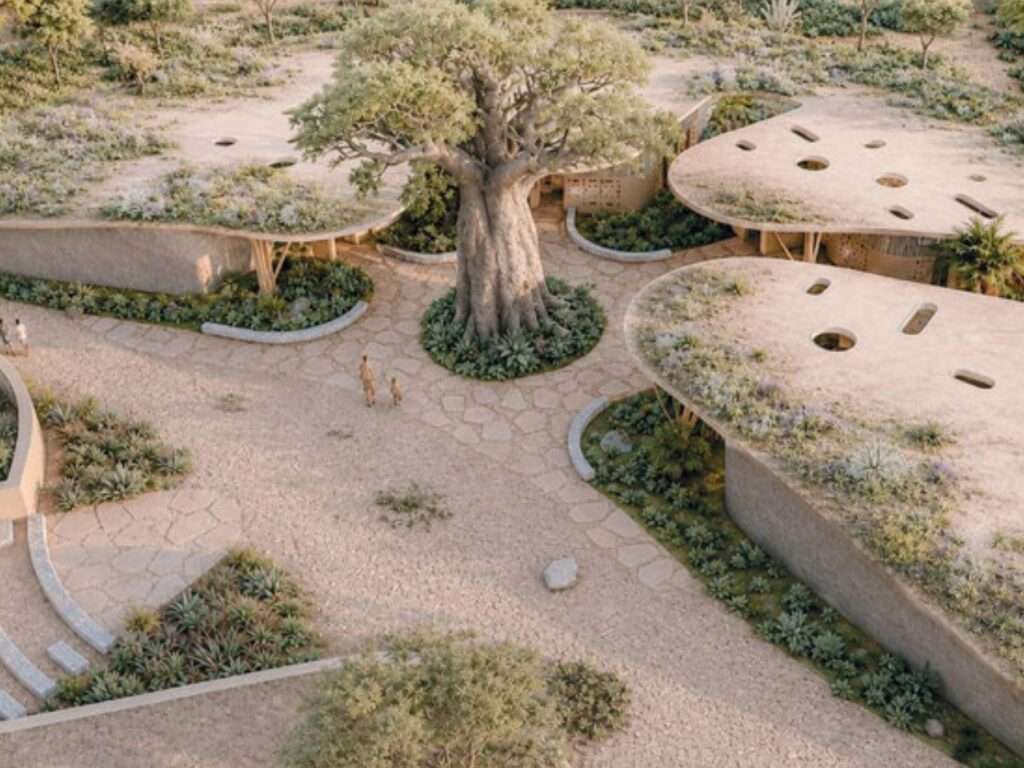 High-angle top-down view of organic-shaped green roofs with cutouts surrounding a central tree and stone-paved landscape pathways.