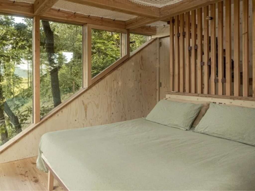 TreeBOX interior bedroom with wooden slat divider, plywood walls, and large panoramic window.