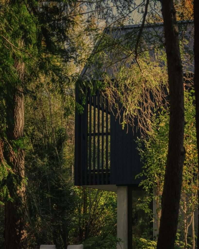 Exterior side view of Forest Studio partially concealed behind green foliage and cedar tree branches during daylight.