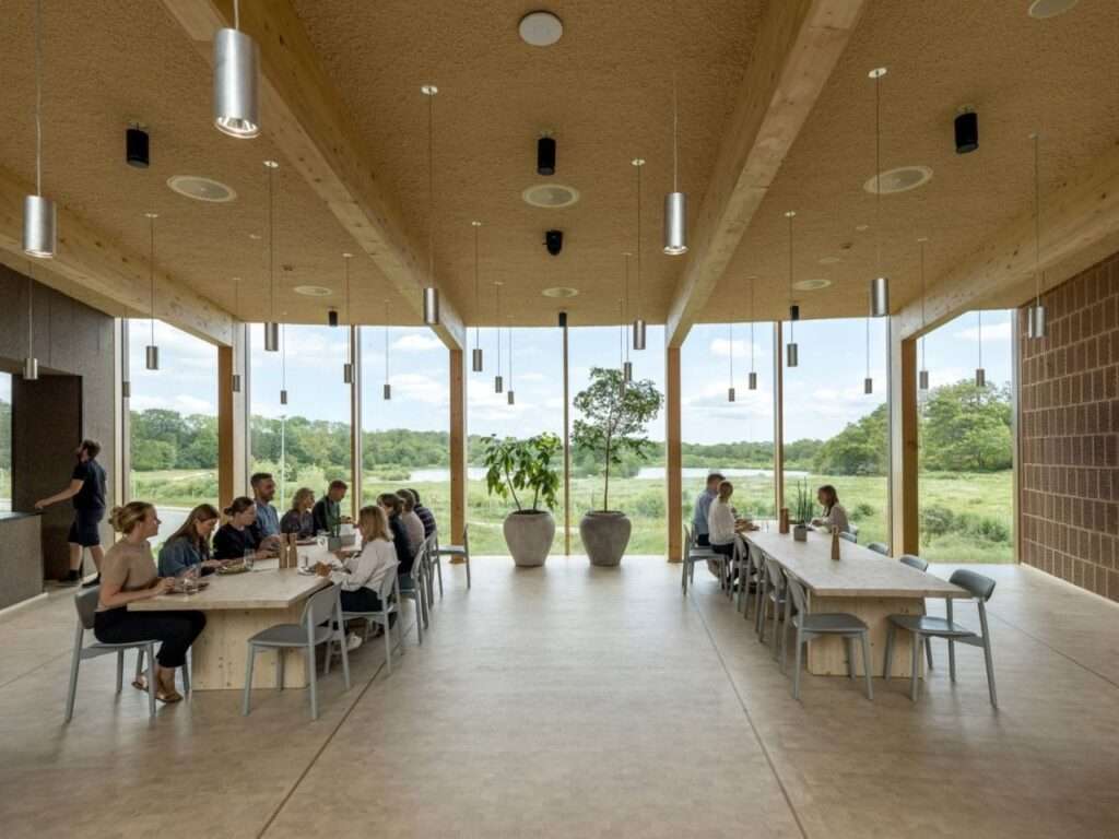 Bright corporate cafeteria with long timber tables, suspended acoustic ceiling, minimalist gray chairs, and large window wall framing lake views.