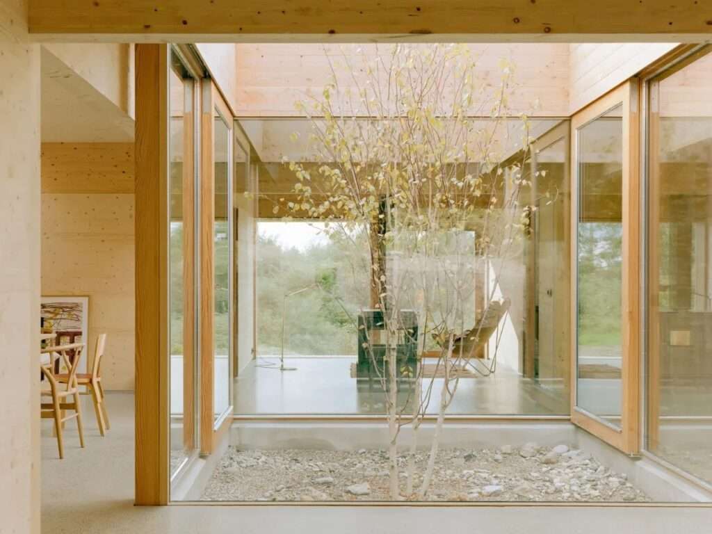 An interior view looking through a central glass courtyard of the Ebeltoft house, containing a slender, deciduous tree planted in gravel, surrounded by wooden beams and extensive glazing.