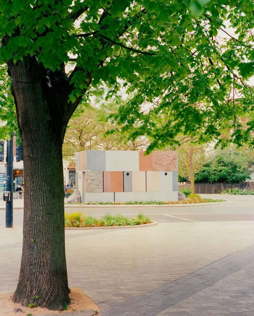 Framing of the Maida Hill reclaimed stone pavilion viewed behind a prominent tree trunk in the public plaza.