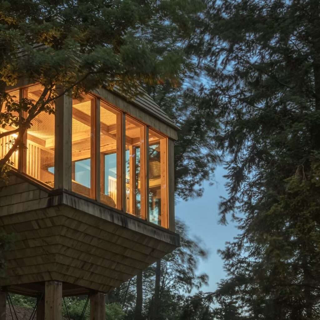 Exterior twilight view of illuminated TreeBOX cabin glowing warmly through large glass windows.
