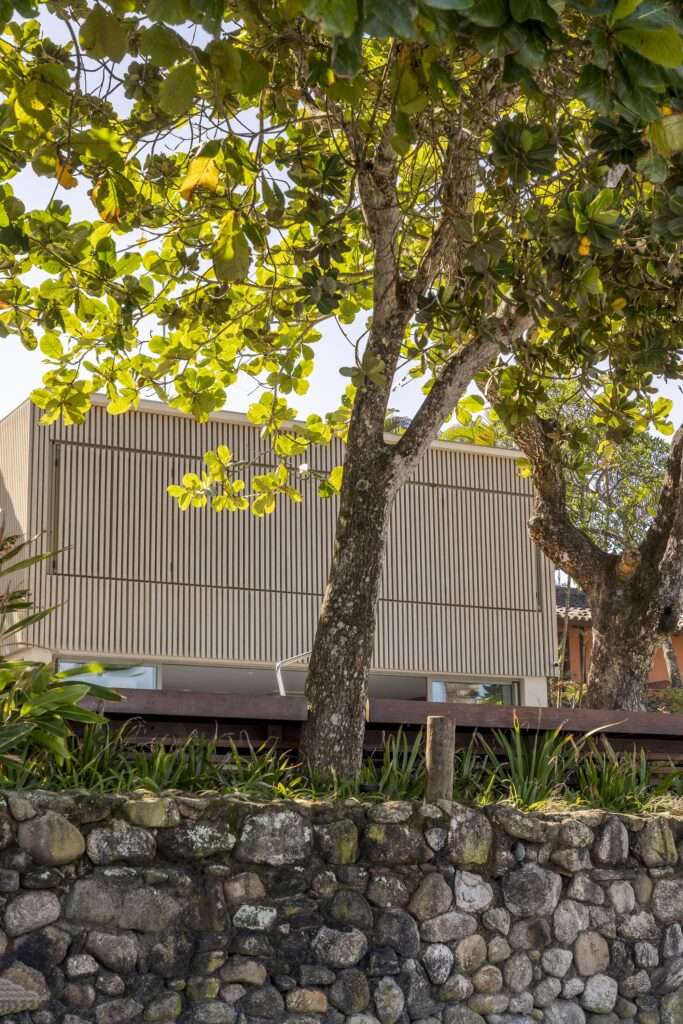 Low-angle shot looking up through mature tree trunks and green canopy toward the upper wooden louvers of Casa ADS.