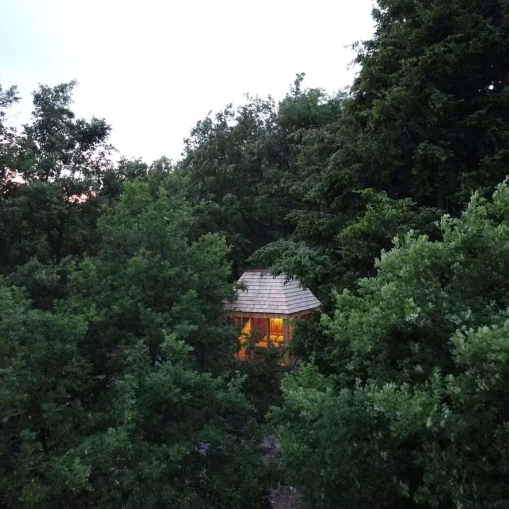 Distant view of TreeBOX cabin glowing subtly through dense oak tree foliage at dusk.