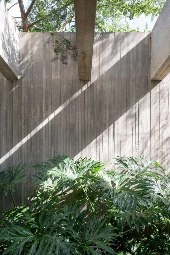 Board-formed exposed concrete wall with vertical linear texture bathed in sunlight, framed by concrete beams and green tropical plants at the base.