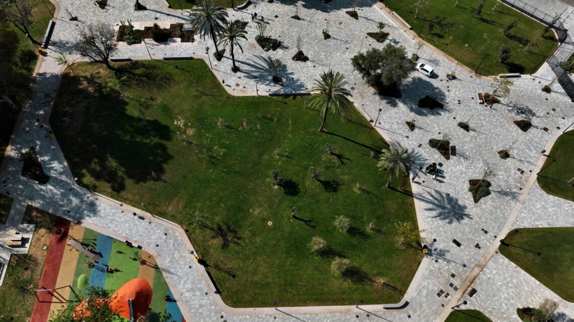 The park's branching paths seen from above.