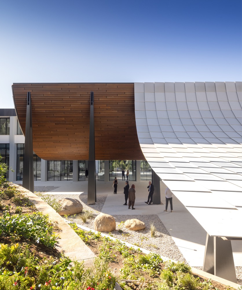 Curved roof structure with timber soffit and tile cladding adjacent to a landscape edge.