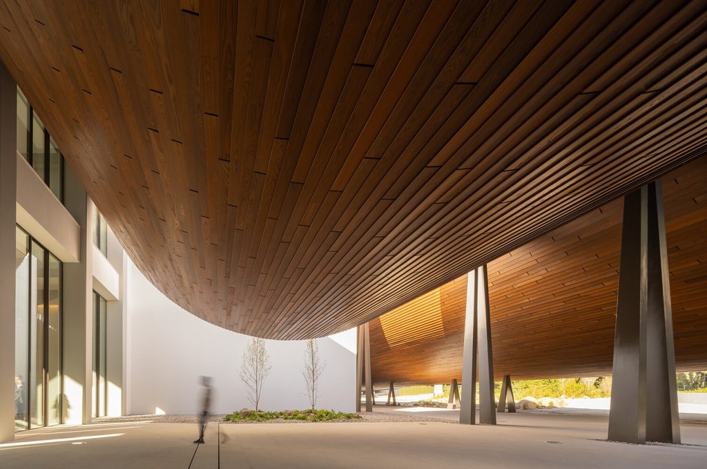 Sweeping curved timber soffit supported by angled dark metal columns over a paved walkway.