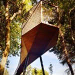 Tree Snake House raised among the trees at Pedras Salgadas; photograph &copy; Ricardo Oliveira Alves