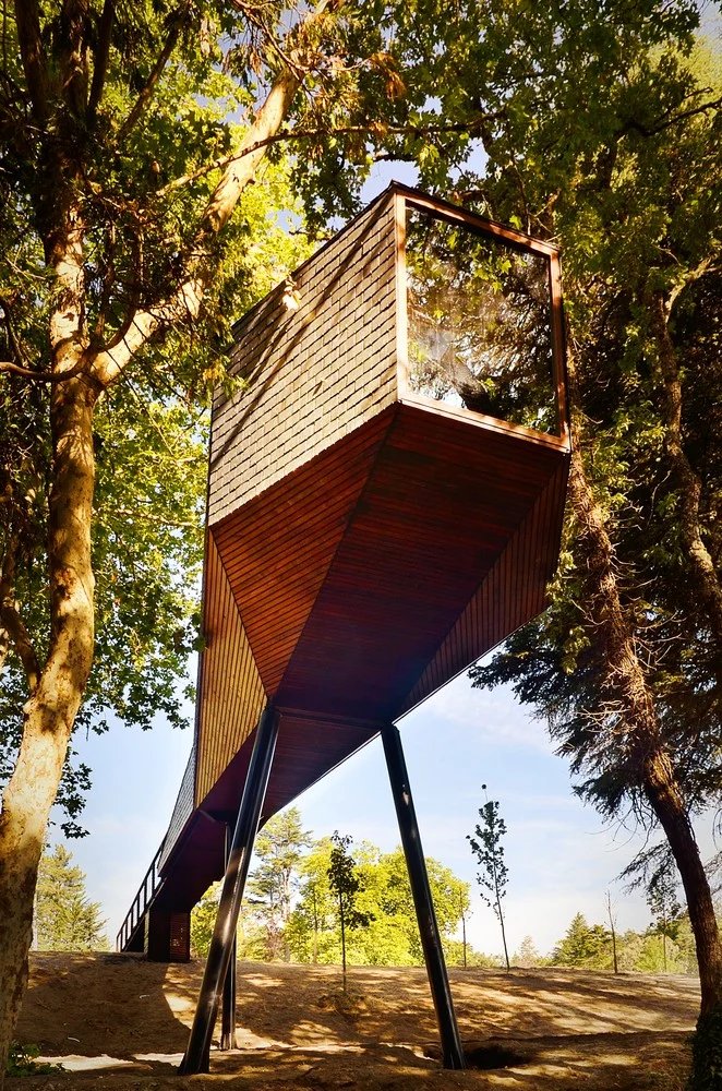 Tree Snake House raised among the trees at Pedras Salgadas; photograph © Ricardo Oliveira Alves