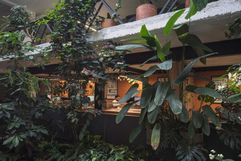 Lush tropical garden patio integrated into an open-plan architecture workspace in Laureles, Medellín.