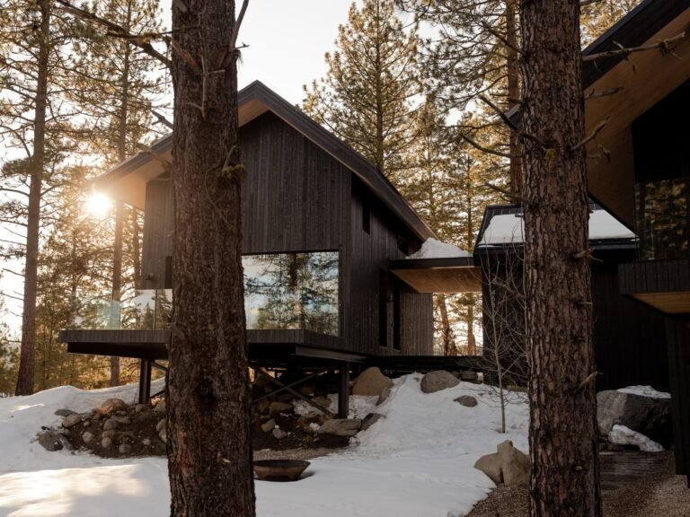 Dark mass timber cabin elevated on steel supports amidst snow and Ponderosa pine trees in McCall, Idaho.
