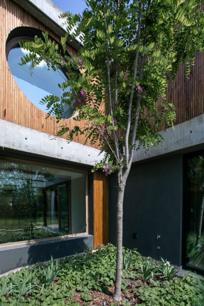 Inner courtyard with a tree surrounded by lush ground plants framed by dark rendered walls, vertical wood slats, and a circular upper window.