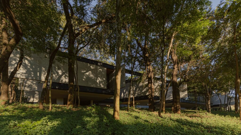 Modern concrete house facade seen through a dense canopy of surrounding trees in Lagoa Santa.