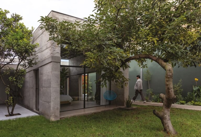 Exterior view of a modern exposed concrete volume framed by a mature avocado tree and garden pathway in Two Courtyards House.