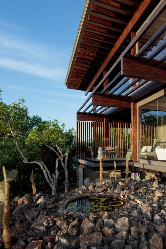 An exterior view of the Finch Bay Hotel extension from ground level, showing lava stone formations with a small circular pond of water lilies. Cacti and other native plants frame the view of the wooden structure and glass balconies.