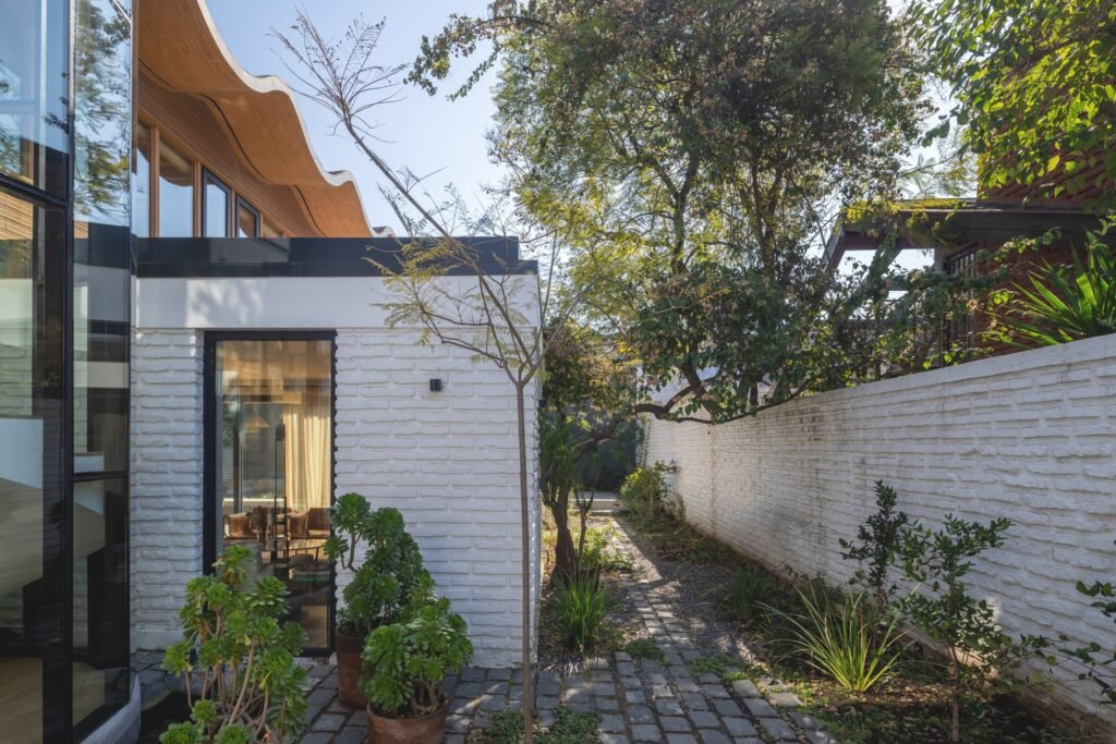 Side pathway and courtyard garden at Los Navegantes House bounded by a white brick boundary wall and large glass windows.