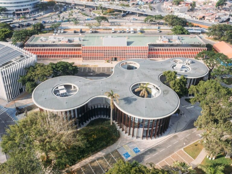 Aerial view of the curvilinear roof structure of Luanda Library featuring circular cutouts around existing mature trees.