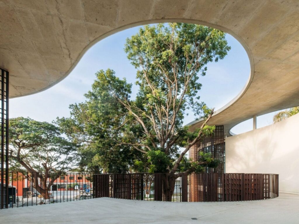 View from under a concrete canopy framing a large tree protruding through a circular roof opening.